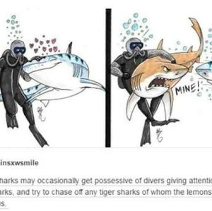 Meet your Posher, Alana